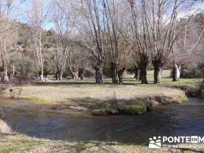 Senderismo Segovia - Riberas de los ríos Pirón y Viejo; berrea en cazorla; puente el pilar